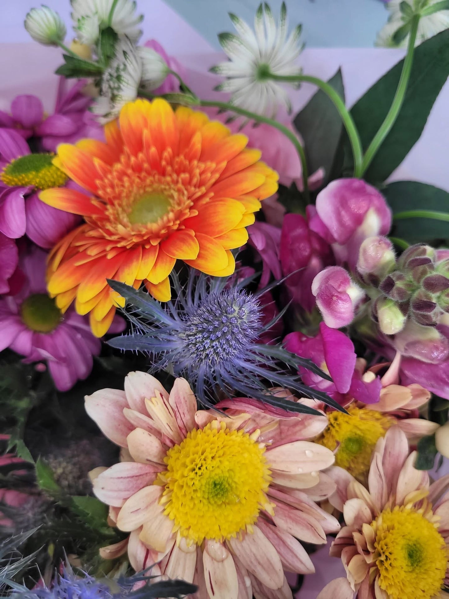 Florist Choice Bright- Large
