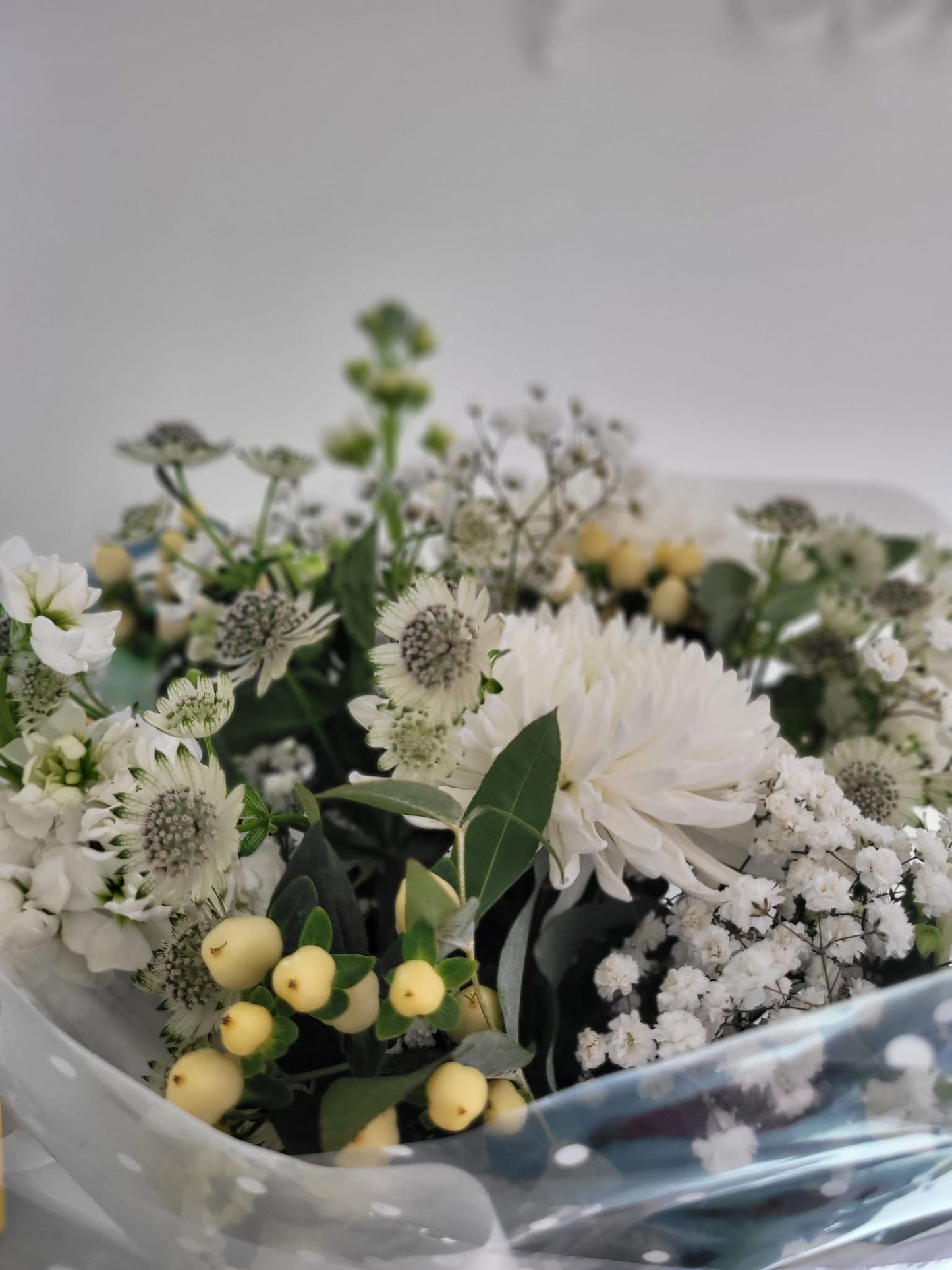 Florist Choice White- Large