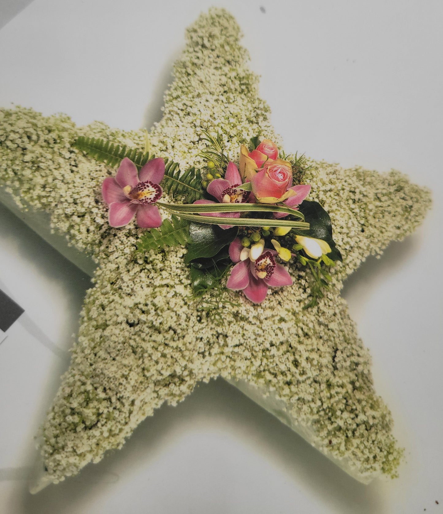 Star
