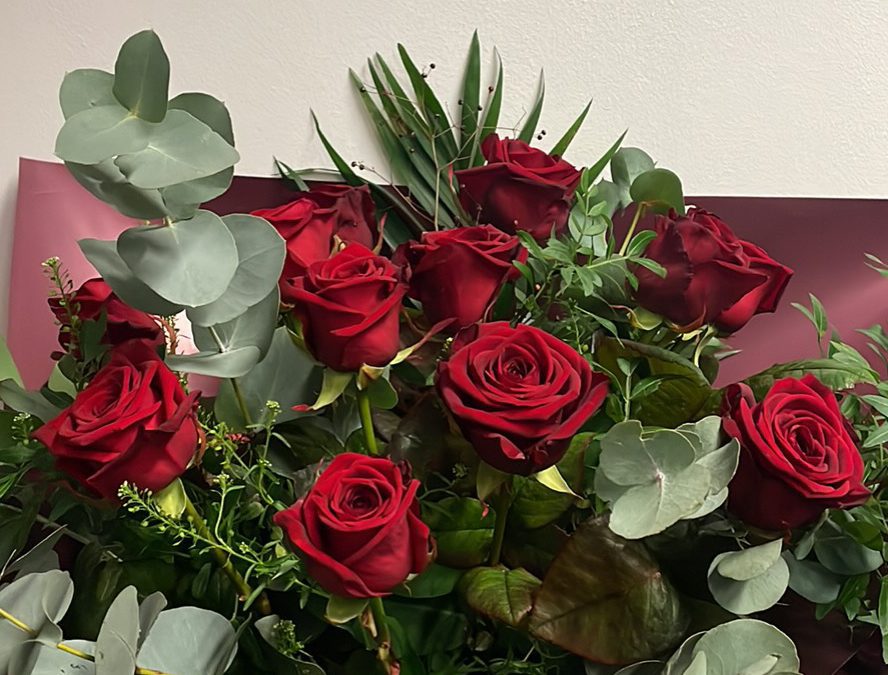 Red Rose 6
