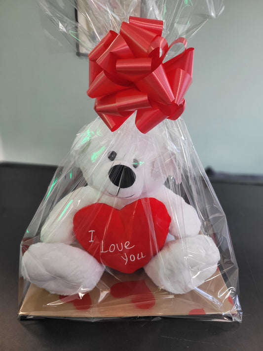 Teddy -Large Gift Wrapped