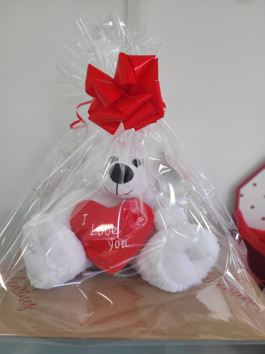 Teddy - Gift Wrapped Medium