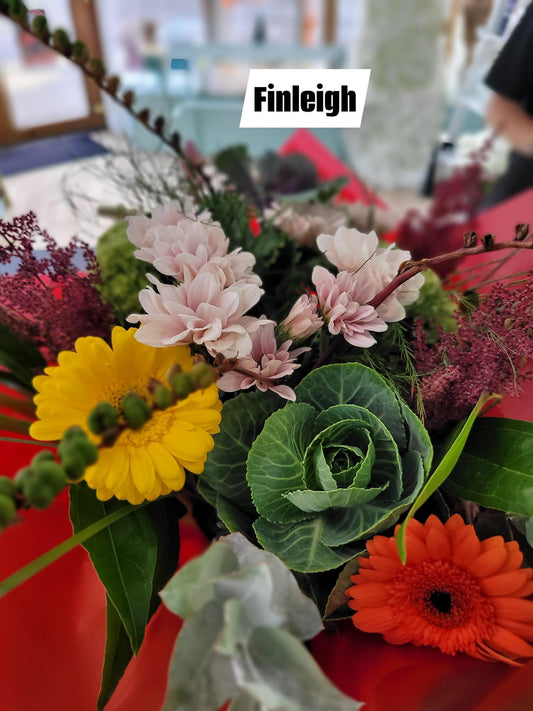 Finleigh