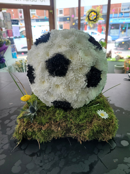 3D Football